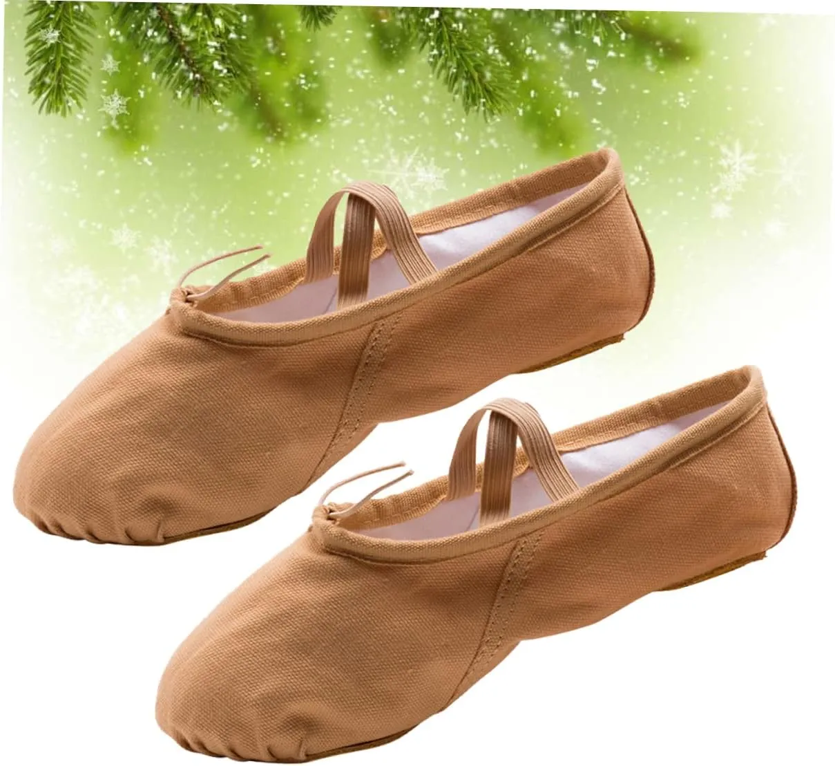 2 Pairs Princess Ballet Shoes Girls Ballet Flats Yoga Shoes Shoes Ballet Practice Shoes Flats Canvas Dance Shoes Barre Ballet Shoes Elastic Belly Dancing Shoes
