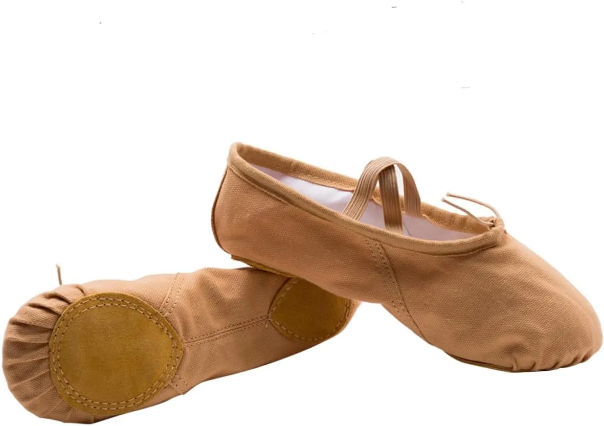 2 Pairs Princess Ballet Shoes Girls Ballet Flats Yoga Shoes Shoes Ballet Practice Shoes Flats Canvas Dance Shoes Barre Ballet Shoes Elastic Belly Dancing Shoes